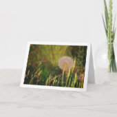 Carte Western Salsify Plante Card (Devant)