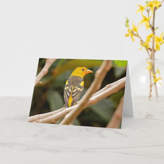 Carte Western Tanager Bird (Fleur jaune)