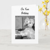 CARTE WESTHIGHLAND TERRIER DIT HIGH TECH ANNIVERSAIRE (Fleur jaune)