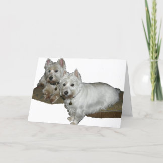 Carte Westie Desi and Lucy