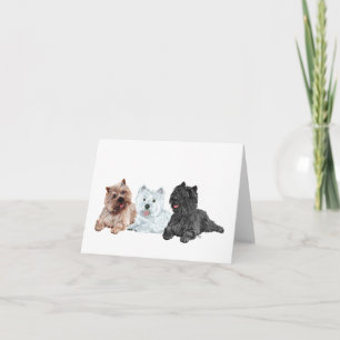 Carte Westie et terriers Cairn