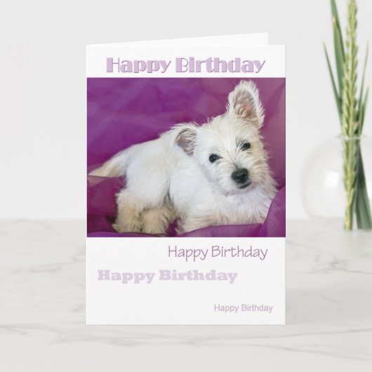 Carte Westie Pup (Devant)