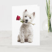 Carte Westie Valentine – Bright Love & Devotion (Devant)
