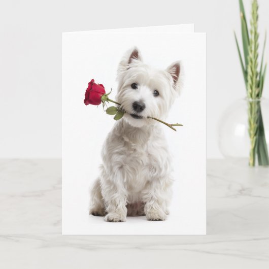 Carte Westie Valentine – Bright Love & Devotion (Devant)