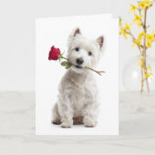 Carte Westie Valentine – Bright Love & Devotion (Fleur jaune)