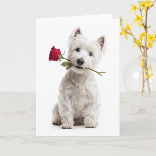 Carte Westie Valentine – Bright Love & Devotion (Fleur jaune)