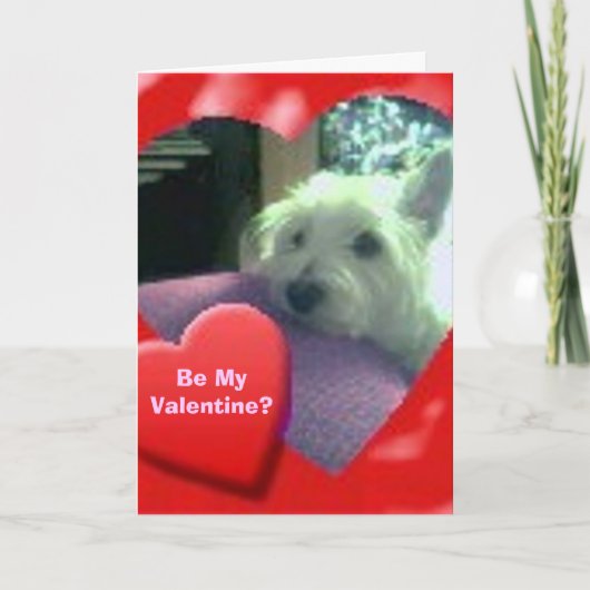 Carte Westie Valentine's Day (Devant)