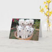 Carte Westies dans un panier (Fleur jaune)