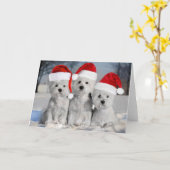 Carte Westies In the Snow Holiday Card (Fleur jaune)