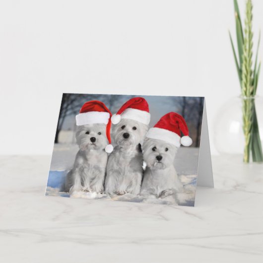 Carte Westies In the Snow Holiday Card (Devant)