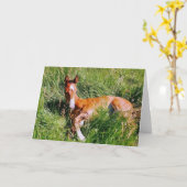 Carte Weston napping (Fleur jaune)