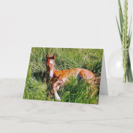 Carte Weston napping (Devant)