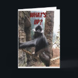 Carte WHAT's UP BEES YOUR AGE ? **60th**<br><div class="desc">ON YOU ON YOUR ****60th BIRTHDAY******** A BIT OF A TEASE FROM THIS GORILLA OMS WANTS TO KNOW ***WHAT'S UP DES YOUR AGE ?********</div>