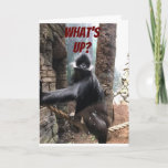 Carte WHAT's UP BEES YOUR AGE ? **70<br><div class="desc">ON YOU ON YOUR ****70th BIRTHDAY******** A BIT OF A TEASE FROM THIS GORILLA OMS WANTS TO KNOW ***WHAT'S UP DES YOUR AGE ?********</div>