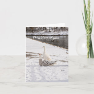 Carte Whats Up Goose