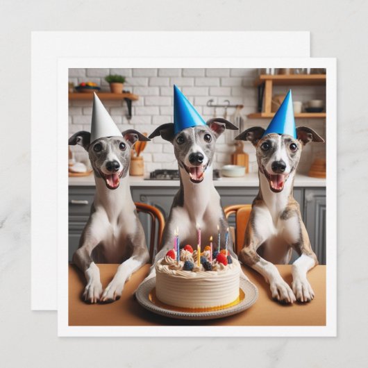 Carte Whippet, anniversaire Whippet, Whippet (Devant / Derrière)