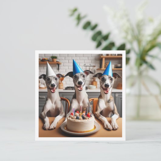 Carte Whippet, anniversaire Whippet, Whippet (Debout devant)