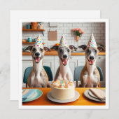 Carte Whippet, anniversaire Whippet, Whippet (Devant / Derrière)