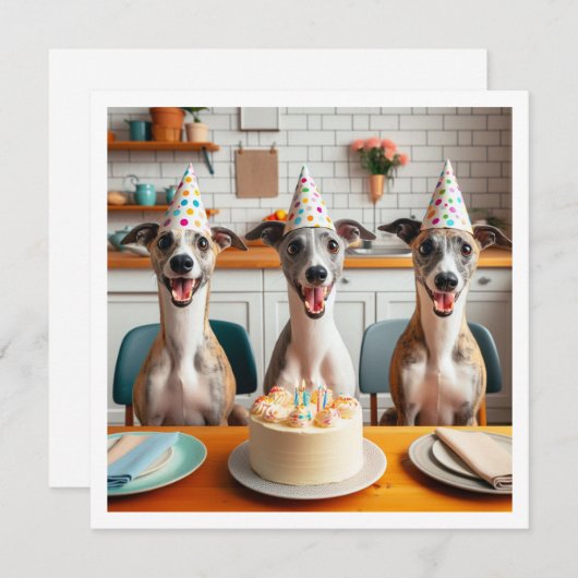 Carte Whippet, anniversaire Whippet, Whippet (Devant / Derrière)
