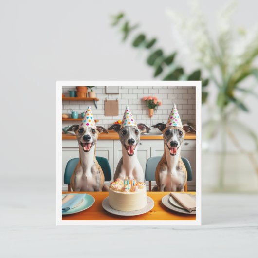 Carte Whippet, anniversaire Whippet, Whippet (Debout devant)