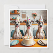 Carte Whippet, anniversaire Whippet, Whippet (Devant)