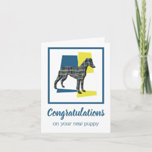 Carte Whippet / Italien Greyhound Puppy Félicitations