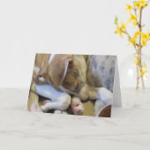 Carte Whippet puppy notecard (Fleur jaune)