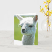 Carte White baby girl (Fleur jaune)