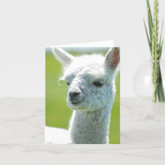 Carte White baby girl