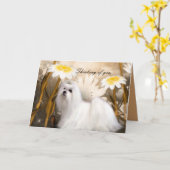 Carte White Chien Fleurs "Penser à vous" (Fleur jaune)