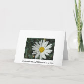 Carte White Daisy (Dos)