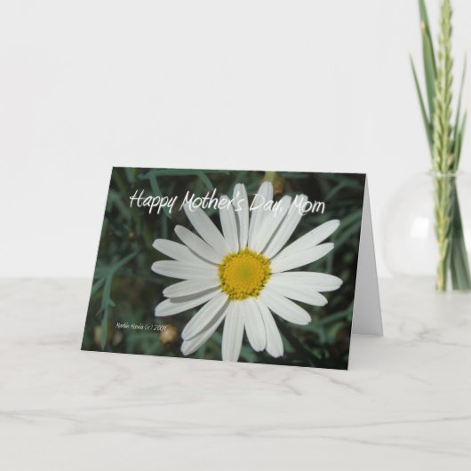 Carte White Daisy (Devant)