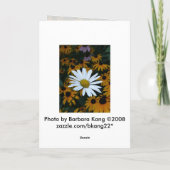 Carte White Daisy et Blackeyed Susans (Dos)