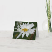 Carte White Daisy Flower Photography Note (Devant)