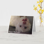 Carte White, Funny Puppy Happy Birthday (Fleur jaune)