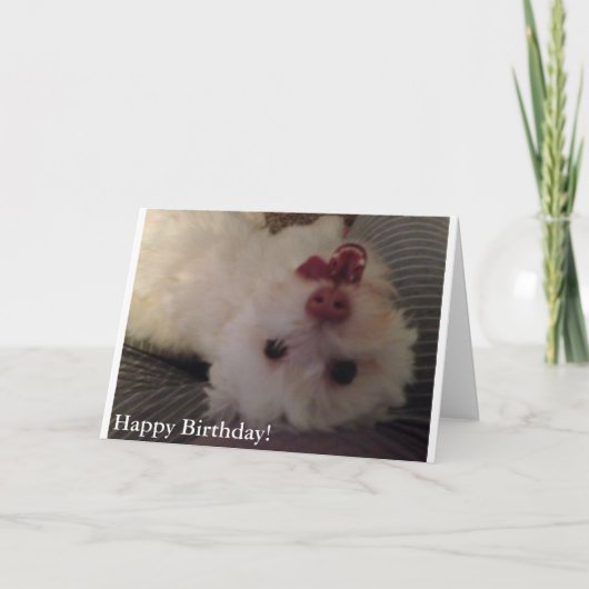 Carte White, Funny Puppy Happy Birthday (Devant)