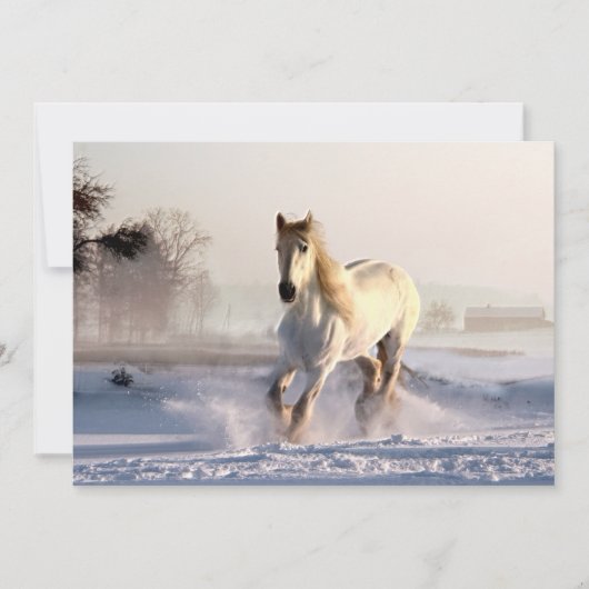 Carte White Horse Galloping (Devant)