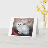 Carte White Kitten, Carl Kahler (Fleur jaune)