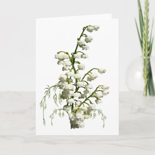Carte White lily of the valley flowers (Devant)