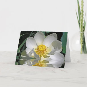 Carte White lotus