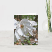 Carte White Magnolia Flower Personalized Note (Devant)