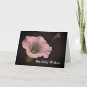 Carte White Morning Glory Flower Anniversaire (Devant)