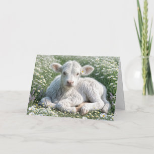 Carte White Scottish Highland Calf Anniversaire