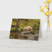 Carte White Spirit Bear Chasse pour poisson sur Riordan  (Fleur jaune)