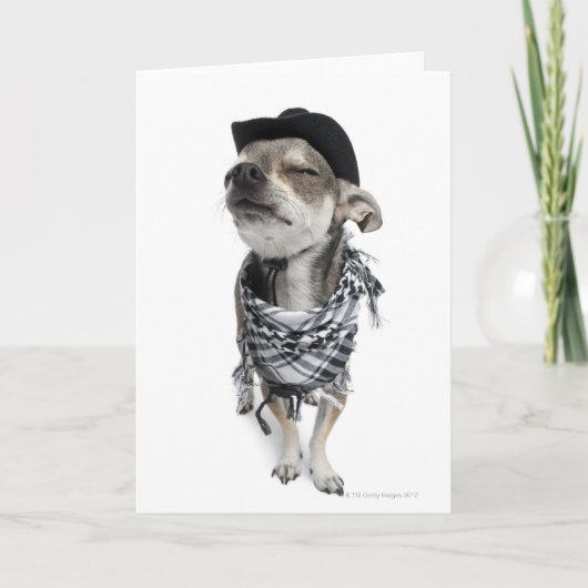 Carte Wide-angle of a Chihuahua with his eyes closed (Devant)