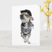 Carte Wide-angle of a Chihuahua with his eyes closed (Fleur jaune)