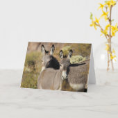 Carte Wild Arizona Burros (Fleur jaune)