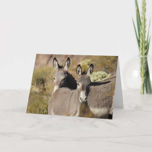 Carte Wild Arizona Burros (Devant)