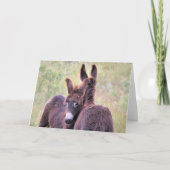 Carte Wild Burros de l'Ouest (Devant)