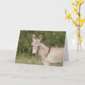 Carte Wild Burros Greeting (Fleur jaune)